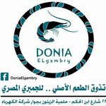 donia-el-gambary