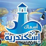 asmak-alexandria | أسماك اسكندرية