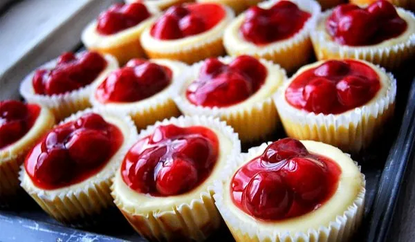 Mix 12 Cupcake Cheesecake - Cheesecake Company