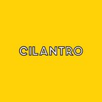 cilantro | سيلانترو