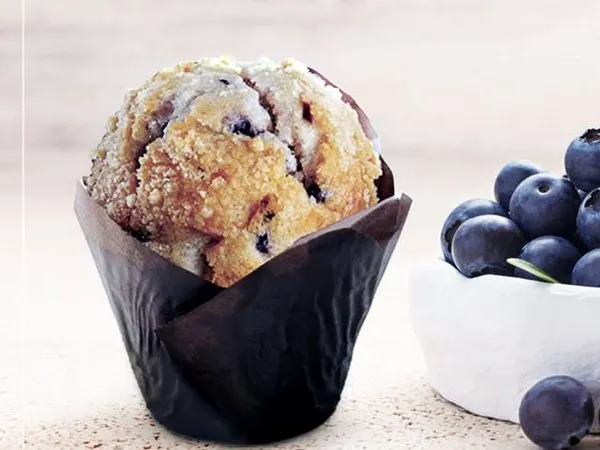 Blueberry - Costa Coffee