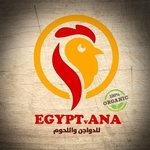 egyptana-lldawagen | اجبتانا للدواجن