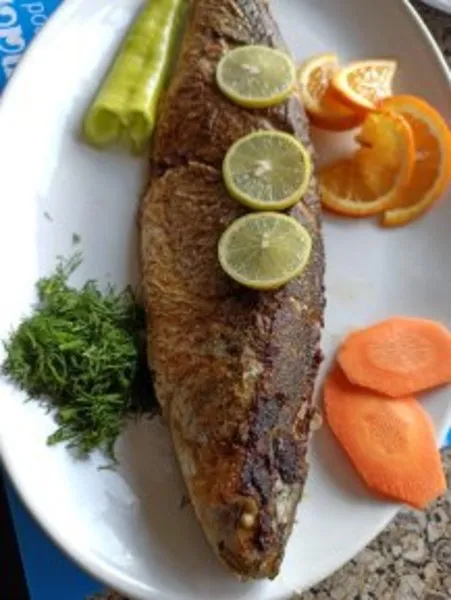 Grey Mullet - Gandofli