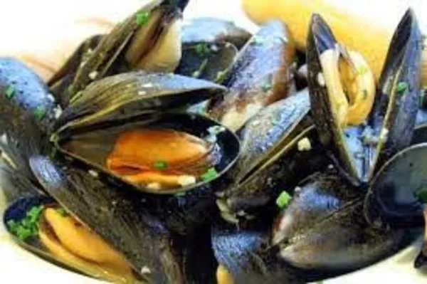 Mussels - Gandofli
