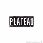 plateau | بلاتو