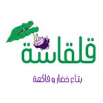 qolqasa | قلقاسة