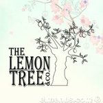 the-lemon-tree-co | ذا ليمون تري اند كو