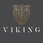 viking | فايكينج