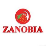 zanobia | زانوبيا